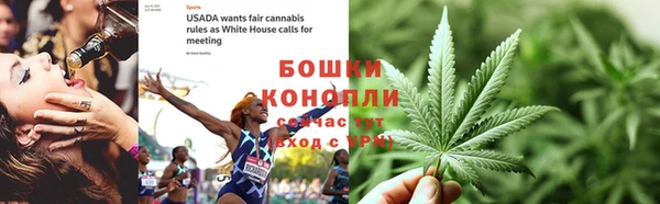 PSILOCYBIN Армянск