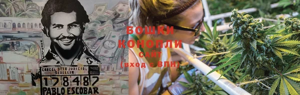 каннабис Аркадак