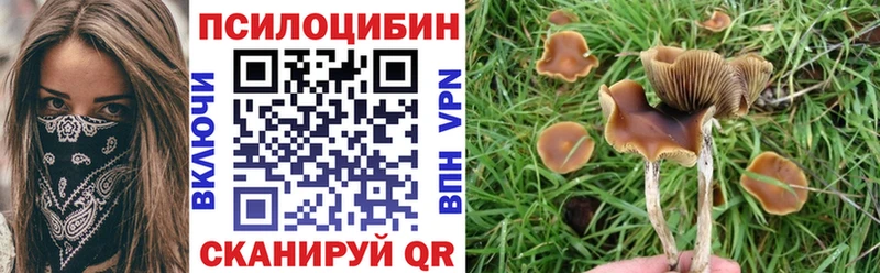 Галлюциногенные грибы мухоморы  МЕГА как войти  Минеральные Воды 